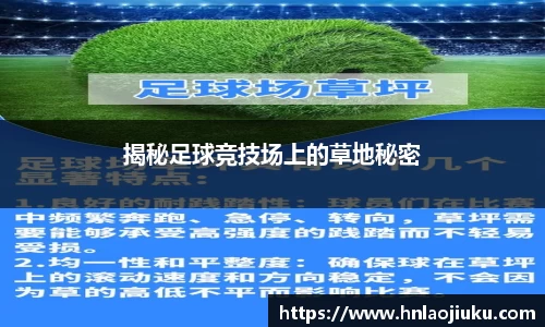 球客岛官网